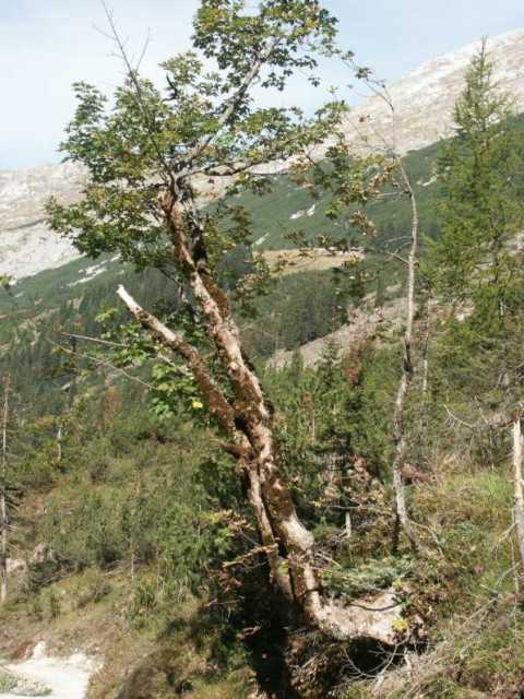 PICT1576.jpg
