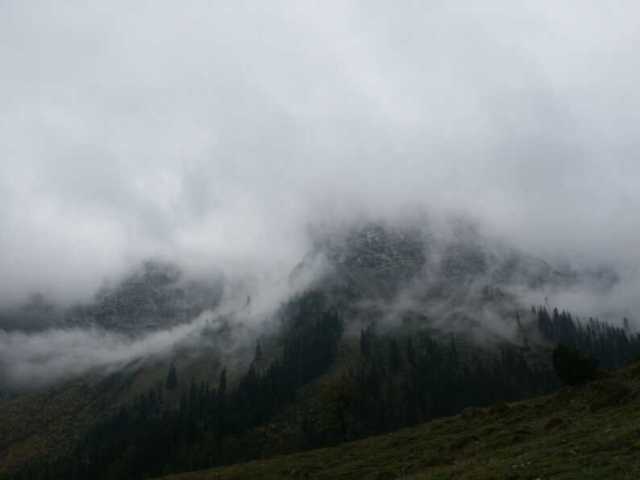 PICT1594.jpg