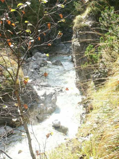 PICT1665.jpg