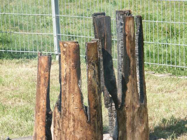 PICT5747.JPG