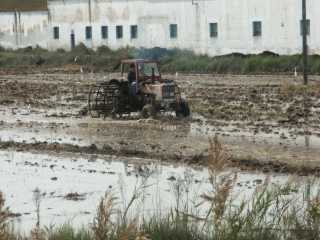 PICT7432.JPG