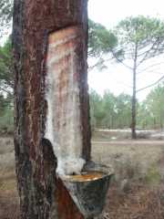 PICT7436.JPG