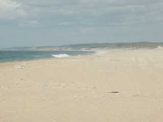 PICT7448.JPG