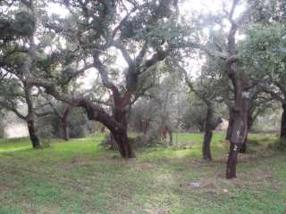 PICT7461.JPG