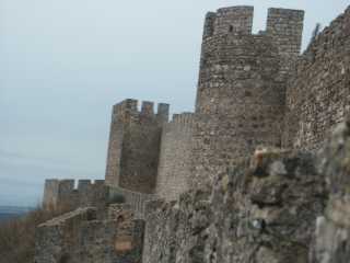 PICT7468.JPG