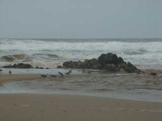PICT7519.JPG