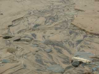 PICT7525.JPG