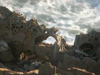 PICT7575.JPG