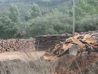 PICT7586.JPG