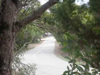 PICT7590.JPG