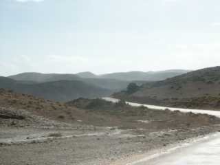 PICT7596.JPG