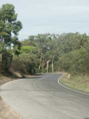 PICT7600.JPG