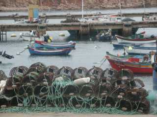 PICT7612.JPG