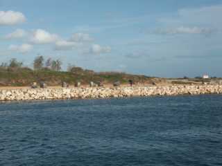 PICT7679.JPG