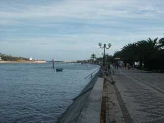 PICT7684.JPG