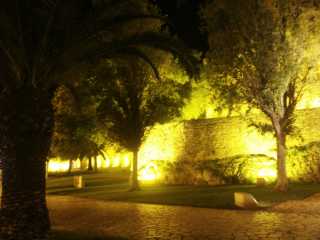 PICT7692.JPG