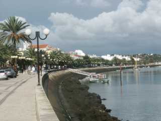 PICT7707.JPG