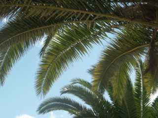 PICT7724.JPG