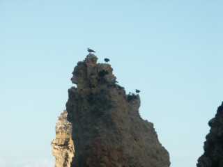 PICT7767.JPG