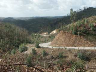 PICT7808.JPG