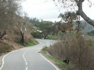 PICT7809.JPG