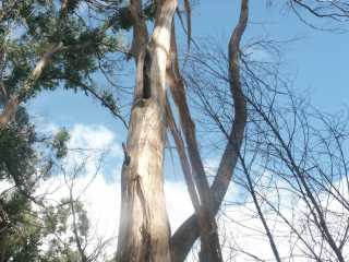 PICT7817.JPG