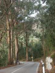 PICT7828.JPG