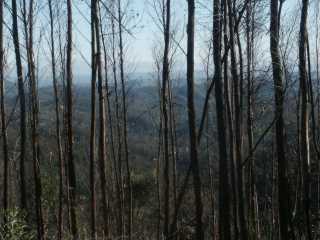 PICT7857.JPG