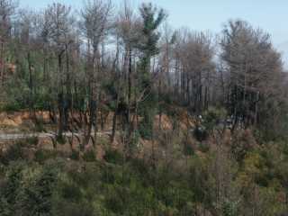 PICT7860.JPG
