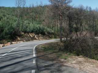 PICT7861.JPG