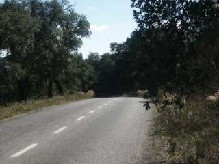 PICT7873.JPG