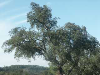 PICT7878.JPG