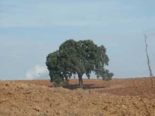 PICT7893.JPG