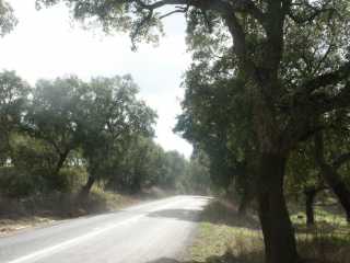 PICT7901.JPG