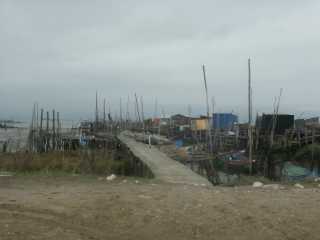 PICT7915.JPG