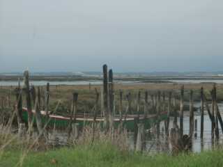PICT7917.JPG