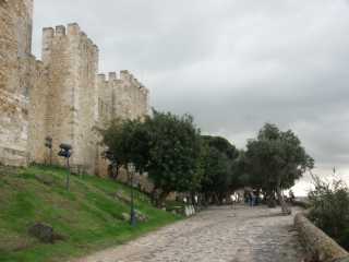 PICT8054.JPG