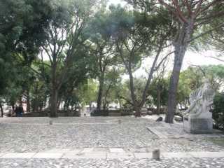 PICT8062.JPG