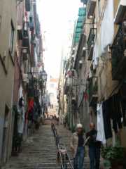PICT8105.JPG