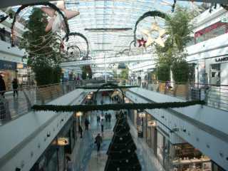 PICT8107.JPG