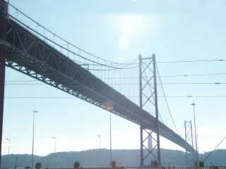 PICT8111.JPG