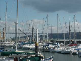 PICT8140.JPG