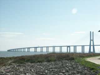 PICT8259.JPG