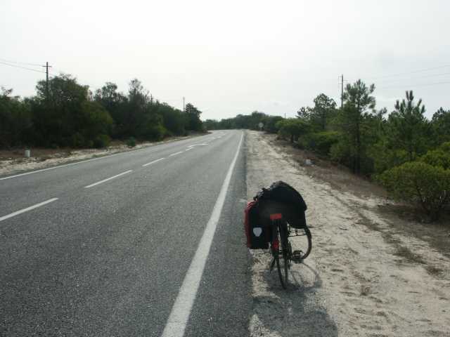 PICT7431.JPG