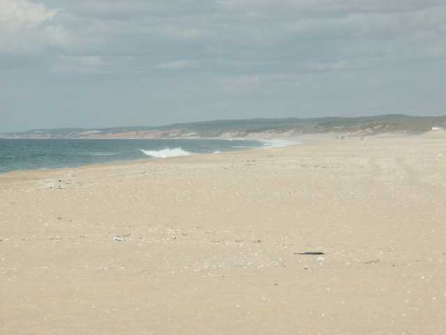 PICT7448.JPG