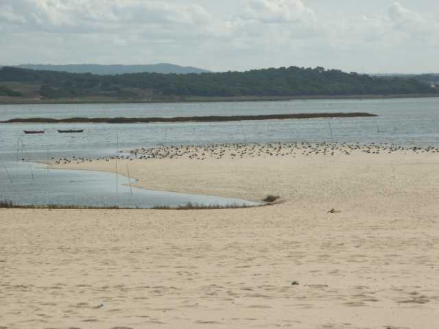 PICT7451.JPG