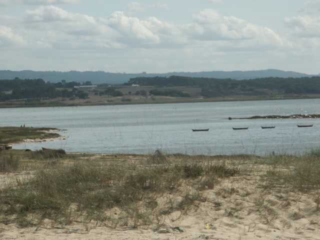 PICT7454.JPG
