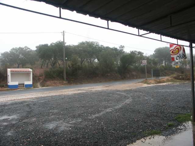 PICT7488.JPG