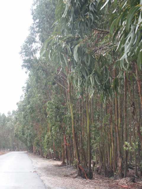 PICT7490.JPG