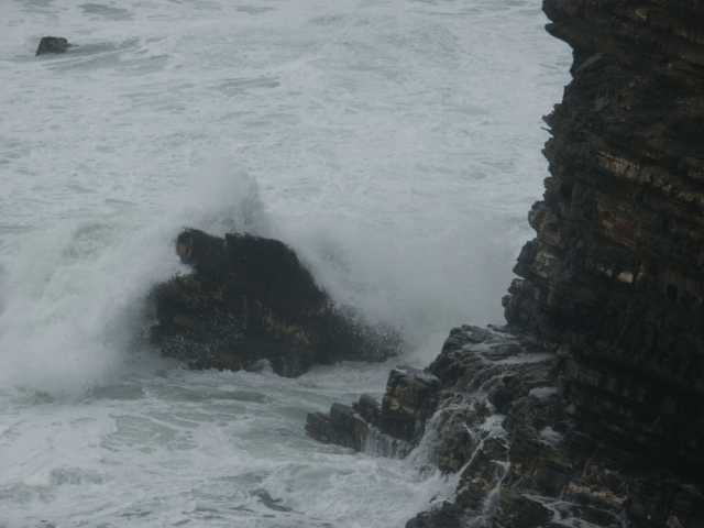 PICT7501.JPG
